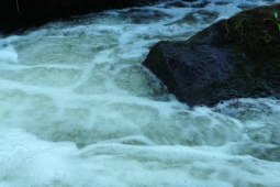  LA PROTECTION DES COURS D'EAU