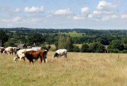 UN TERRITOIRE DE BOCAGE